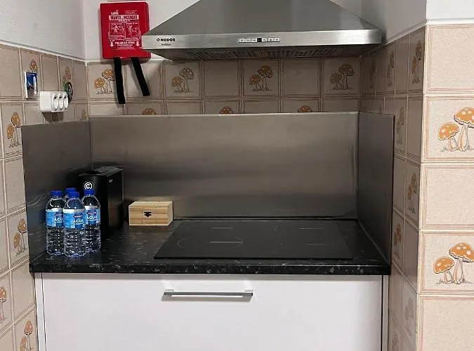 Apartament Casas Dona Emilia Vieira de Leiria